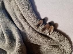 Предохранители красные ПМ и кобуры ТТ