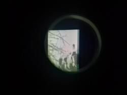 Прицел ночной 