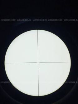 Прицел загонник Bushnell Trophy 1-6x24