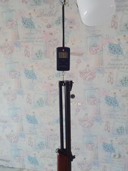 Продам ИЖ-94 Тайга 12х70 / 7.62х54