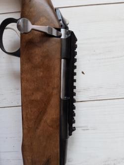 Продам лось 145