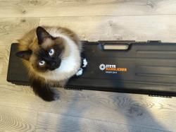 Продаю карабин STEYER MANNLICHER мод.CLASSIC CLII КАЛ.308WIN.