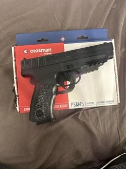 PSM45