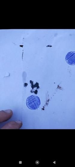 Псп дубрава 