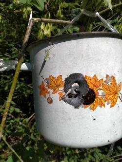 ПСП Егерь 6.35