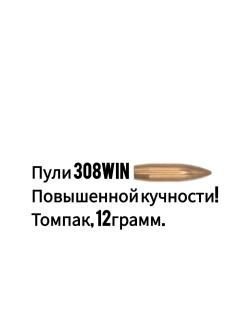 Пули 308 win и гильзы НПЗ/БПЗ/ТПЗ