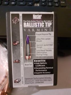 Пуля Nosler Ballistic Tip Varmint 6 mm/243, 80 gr/5,2 г, 100 штук