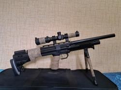 RAR VL12 Custom