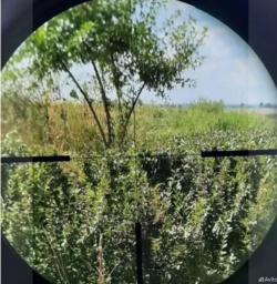 Продам оптический прицел Kahles CSX 2,5-10x50 + кольца, Санкт-Петербург