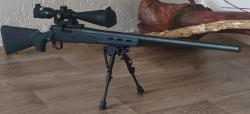 Remengton 700 sps varmint