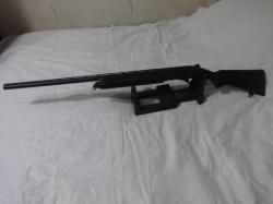 1.Remington 11-87 Sportsman.2.Hatsan escort.