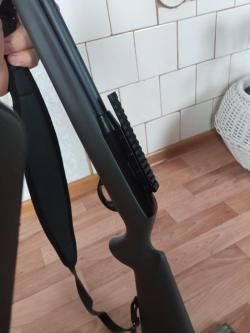 Remington 597 22 LR 