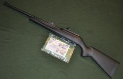 Remington 597 22 WMR