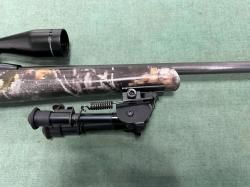 Remington 597 22LR