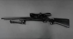 Remington 597 кал. 22 LR 