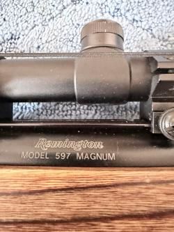 Remington 597 Magnum