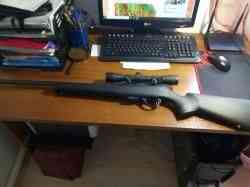 Remington 597