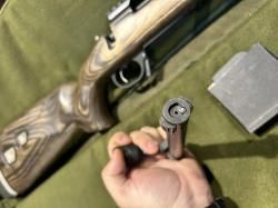 Remington 700 (223 rem)