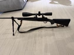 remington 700 223 rem