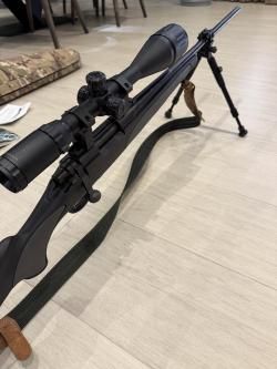 remington 700 223 rem