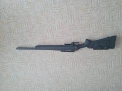 Remington 700 223 