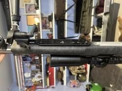 Remington 700, Sandero SII, 300 win mag