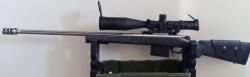 Remington 700 Sendero II 300 WM