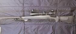 Remington 700 sps 308 win