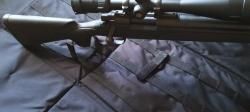 Remington 700 sps 308 win