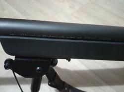 Remington 700 SPS Tactical