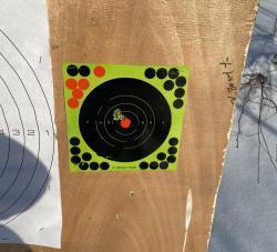 Remington 700 Varmint  RRS 308.