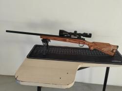 Remington 700 VLS