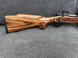 Remington 700 VLS
