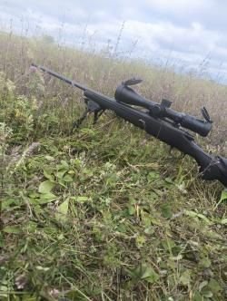 Remington 700