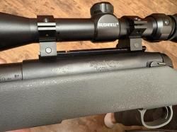 Remington 710