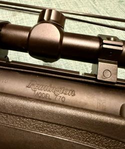 Remington 770 308 Win