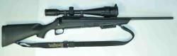 Remington 770 308 Win