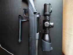 Remington 770. 308win