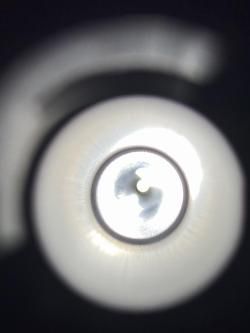 Remington 870 + бинокль Steiner Safari 12x40