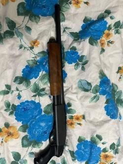 Remington 870 Express Magnum к.12
