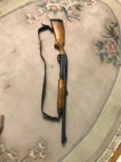 Remington  870 EXPRESS MAGNUM  