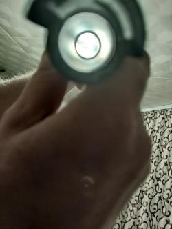 Remington 870 Express Magnum 