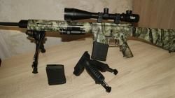 Remington R-25 308 Win