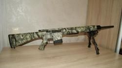 Remington R-25 308 Win