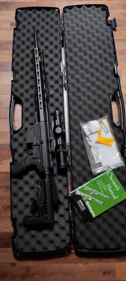 Remington r-25, AR10, AR15, DPMS 308 win