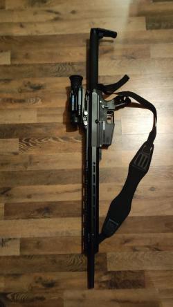 Remington r-25, AR10, AR15, DPMS 308 win