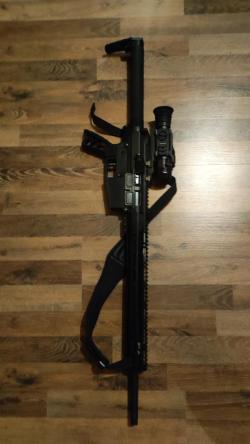 Remington r-25, AR10, AR15, DPMS 308 win