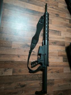 Remington r-25, AR10, AR15, DPMS 308 win