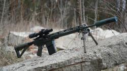 Remington R25, AR-10