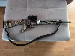 Remington R25